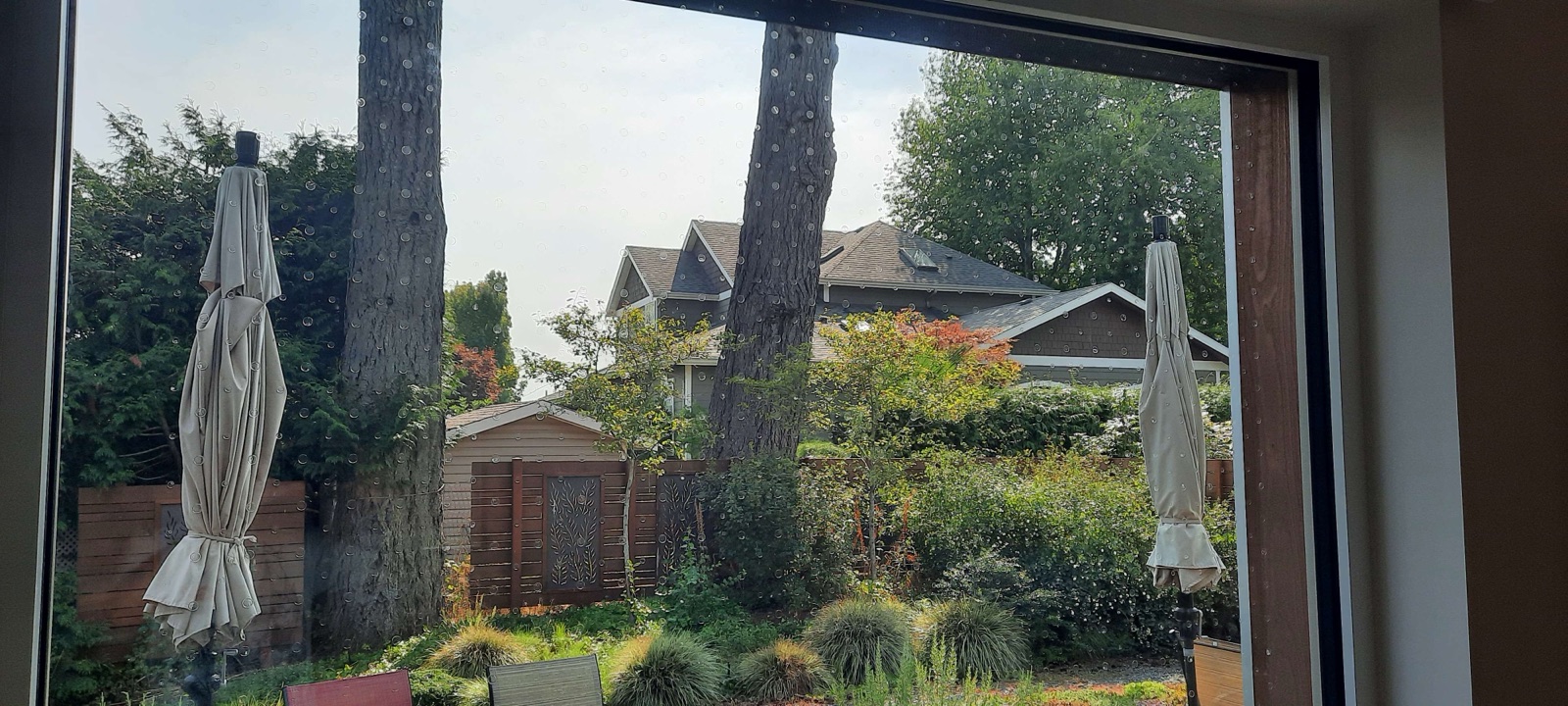 Full-window Bird Divert UV marker installation viewed from interior