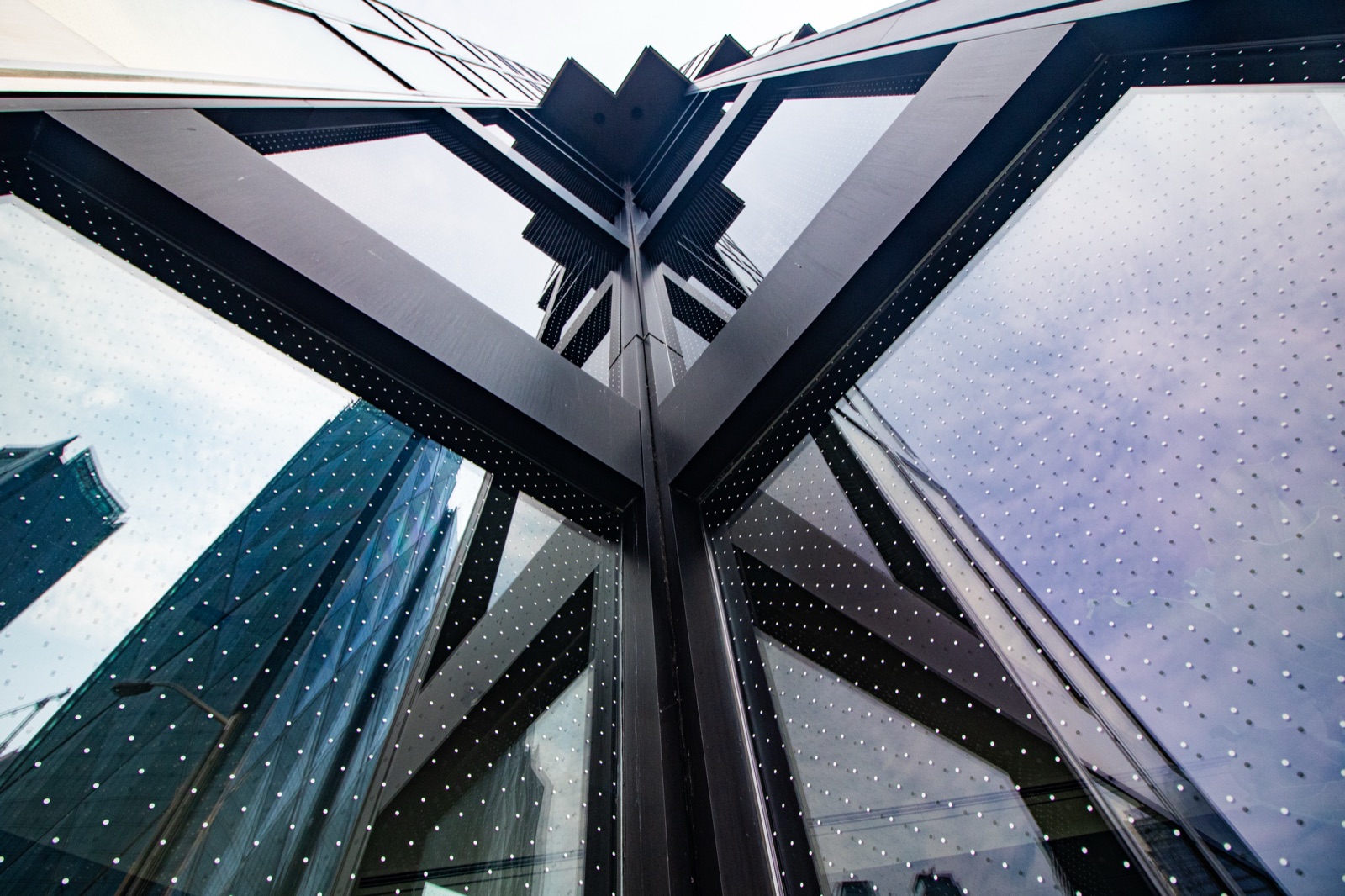Feather Friendly bird collision deterrent dots on RBC building glass