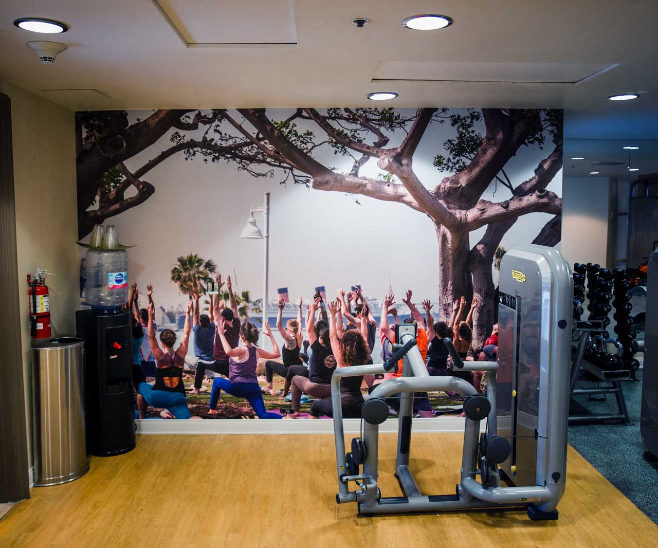 Wall graphics for gyms